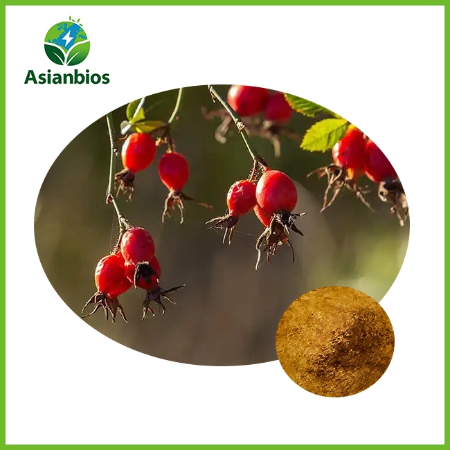 rosehip extract powder